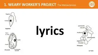 The Metasciences - Weary Worker's Project [lyrics]