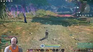 A Quick look at my Gunner on Elyon!