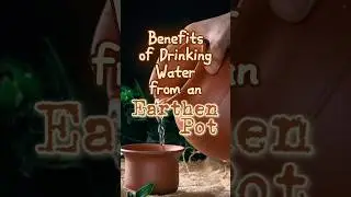 Benefits of Drinking Water Earthen Pot | EduCare - Natural Cure & Tips #earthenpot #drinkingwater
