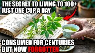 The Wild Vine That Allowed A Village To Live Past 100, Free Of Sickness. Why Is It So Unkown?