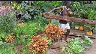 Backyard Gardening, Creating A New Garden Space.