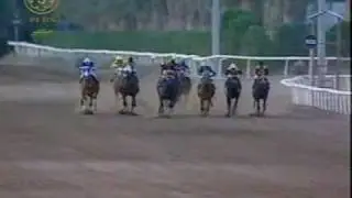 الجواد عفتان اسطبل السيحان