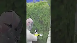 Suburban Showdown: Intense Close-Quarters Combat