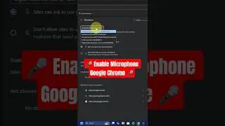 Enable Microphone & Select Your Mic on Google Chrome