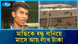মাছিকে বন্ধু বানিয়ে ভাগ্য খুলে গেলো ক্ষুদে বিজ্ঞানী মিজানুরের | Scientist Mijanur | Rtv News