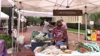 AEC3070 Final Project - Union Street Farmer Market
