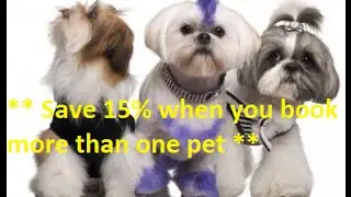 Dog Grooming San Diego - Mobile Dog Grooming Service