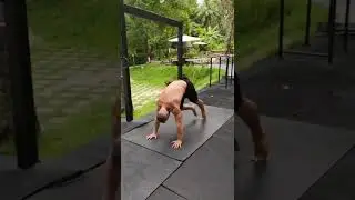 Индуистские отжимания | Сочетание силы и подвижности