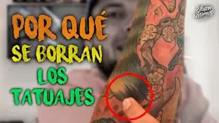 6 RAZONES del Por que se Aclaran o Borran los TATUAJES // Por qué se Borran los Tatuajes #yo3rl