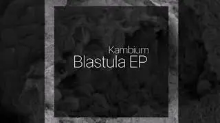 Kambium - OR [KM03]