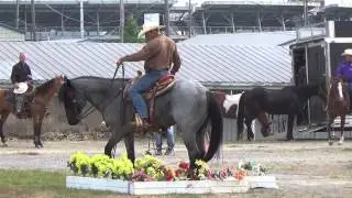 Extreme Cowboy Race / Tim Edge Pro 1st Run Mr  Lil Blue Tom