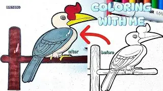 Coloring With Me (ASMR)❤️🕊️🎨Unique Animal Coloring Video Horn Bird😍🖌️#animals #cartoon #asmr #art