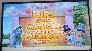 Pups Save A Magical Mishap Title Card