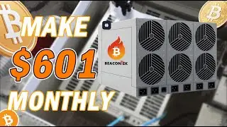 How Much Can You Really Make Mining Bitcoin in 2025? Proto Rig #asicminer #btcminer #btcmining