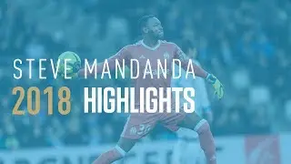 Steve Mandanda bests saves 2018