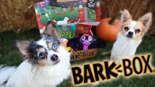 October BarkBox 2020 | Unboxing Halloween Lick or Treat Bark Box with My Dogs!