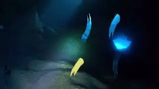 Dive Ref 21058 - Gozo Caves (Short video 2 mins) with Rosenf__d Family 2025.06.18