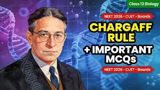 Erwin Chargaff Rule  Explained and MCQ | Class 12 biology | NEET 2026 | CUET UG 2026 | 12 BOARDS