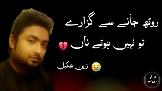 Rooth jane se guzare to nahi hote na | zain shakeel | very sad urdu poetry | emotional ghazal 😢