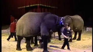 Casselly Family - Elefanten - Cirkus Arena 2005