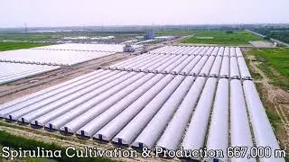DXN Corp & Agrotech - Existing facilities