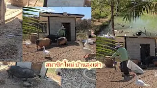 มาหาอาร์มี่สมาชิกใหม่นา ลุงเต่า#ป้าแต๋นชาเเนล 
