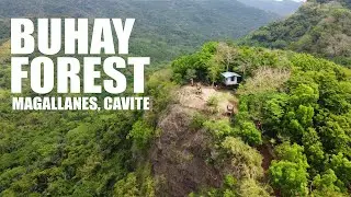 Buhay Forest | Aerial Shot