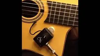 Gypsy-Jazz Guitar Pickup, Gypsy-Jazz Guitar Microphone