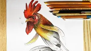 Rooster fish/step by step surrealistic relaxing drawing video/#59
