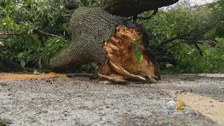 Sudden Storms Leave Their Mark On Chicago Area