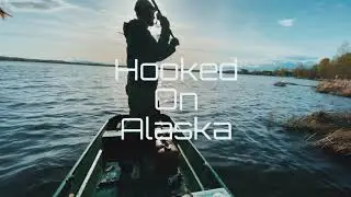 A little pike Smackdown( South Central Alaska ) #fishing, #Pike, #Nancy Lake Reserve