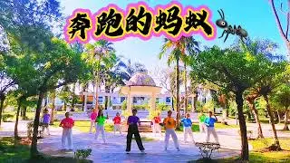 Sherine舞蹈班 奔跑的蚂蚁💥完整版💥