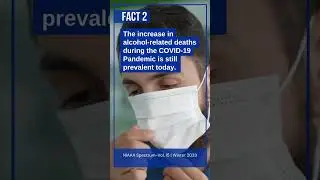 Alcohol Related Deaths: A 2023 Study
