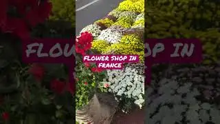 FLOWER SHOP IN FRANCE