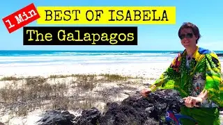 BEST of Isabela Island - The Galapagos Islands - 1 Min Travel 2021