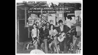 Angry Samoans - 04 Haizman's Brain is Calling - LIVE AT CAMARILLO STATE