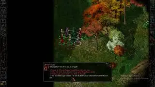 Baldur's Gate 1 Enhanced Edition (Story Mode) - 19DC. Rasaad Romance - Teasing Rasaad