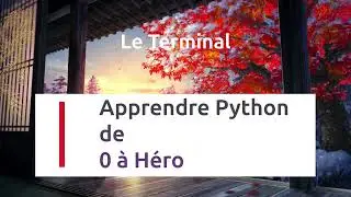 FORMATION PYTHON : Le Cours Complet pour D&eacute;buter (Tutoriel FR) | - 4 - Le terminal