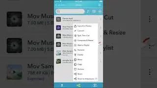 Format Conversion & Audio Detach - Video Saver PRO TUTORIAL