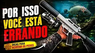 Aprenda a Disparar no Peixe e Não Errar 