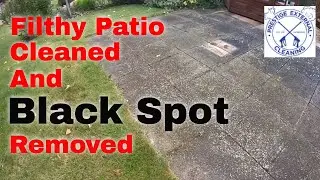 Patio Cleaning  | Black Spot Removal