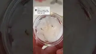 Makeup mold 🤢 #elfcosmetics #drugstoremakeup #makeupproducts