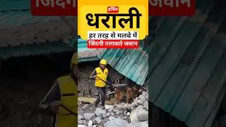 हर्षिल धराली में डॉग स्क्वॉड टीम dharali #dharali #shorts #uttarkashi #viral @KhabarChakraKC