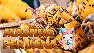 ¿Qué es la Mashua? El Tubérculo Andino con Increíbles Propiedades Nutricionales