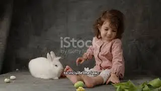 1080 Can a Lion Change  The Rabbit&rsquo;s Daring D