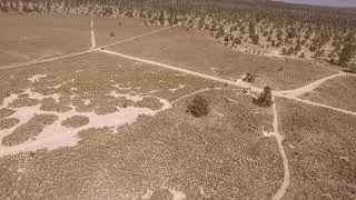 The Lost Forest and Sand Dunes of Southern Oregon by Drone