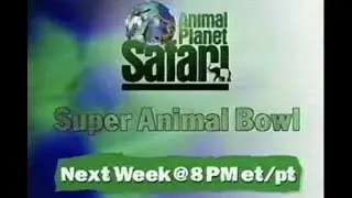 Animal Planet Super Animal Bowl Commercial 2000 - 00s Commercials