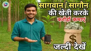 🌳 सागवान (Teak) की खेती करें और कमाएँ करोड़ों रुपए 💰 | Teak Wood Farming Business Idea | In Hindi 
