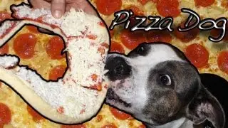 Breaded Cat...Meet the Original Pizza Dog!