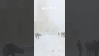 Mall Road Shimla Live #snowfall #shimla #himachal #trending #himachalpradesh #youtubeshorts #viral